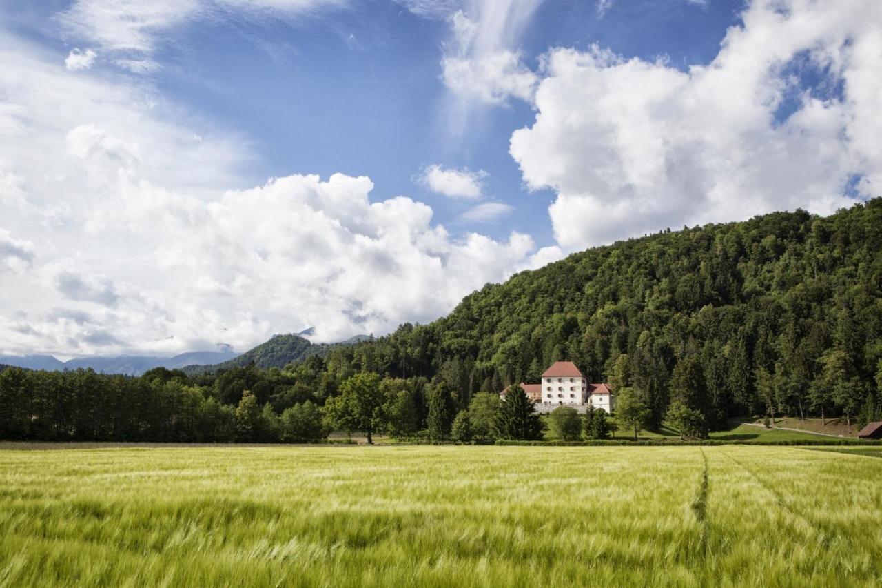 Grad Strmol Cerklje na Gorenjskem Exterior foto