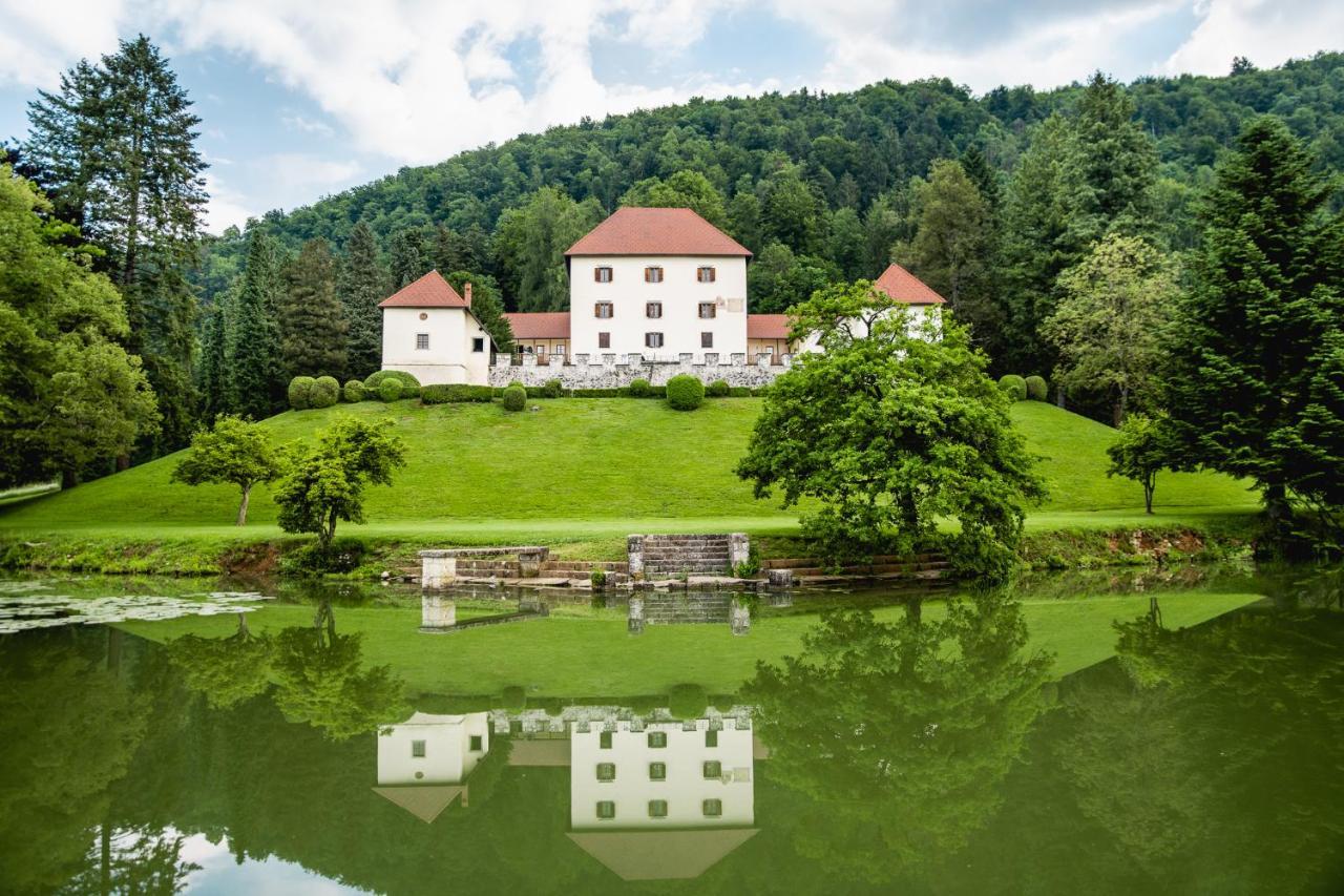 Grad Strmol Cerklje na Gorenjskem Exterior foto