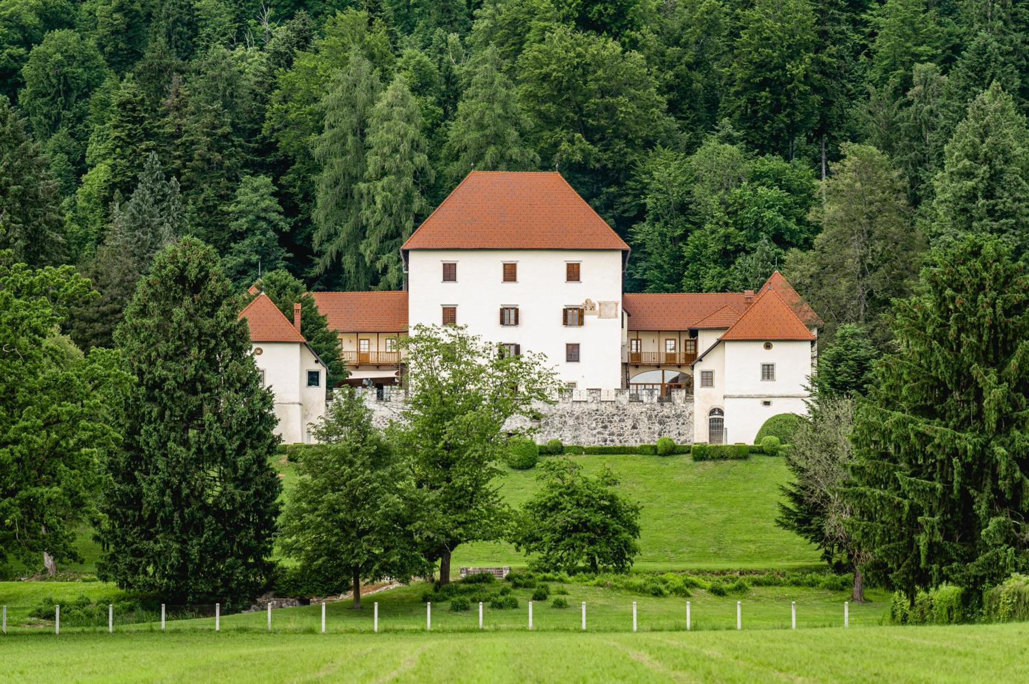 Grad Strmol Cerklje na Gorenjskem Exterior foto