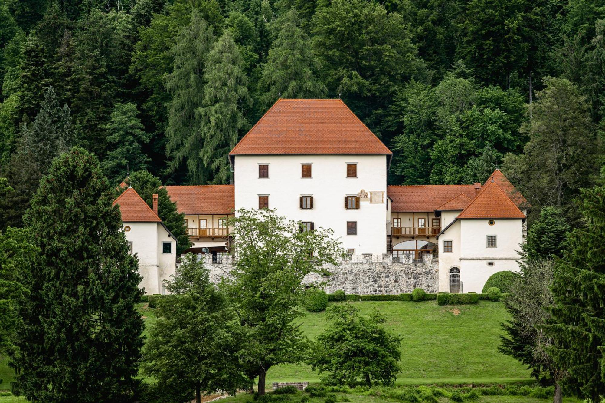 Grad Strmol Cerklje na Gorenjskem Exterior foto